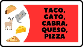 taco gato cabra queso pizza cartas